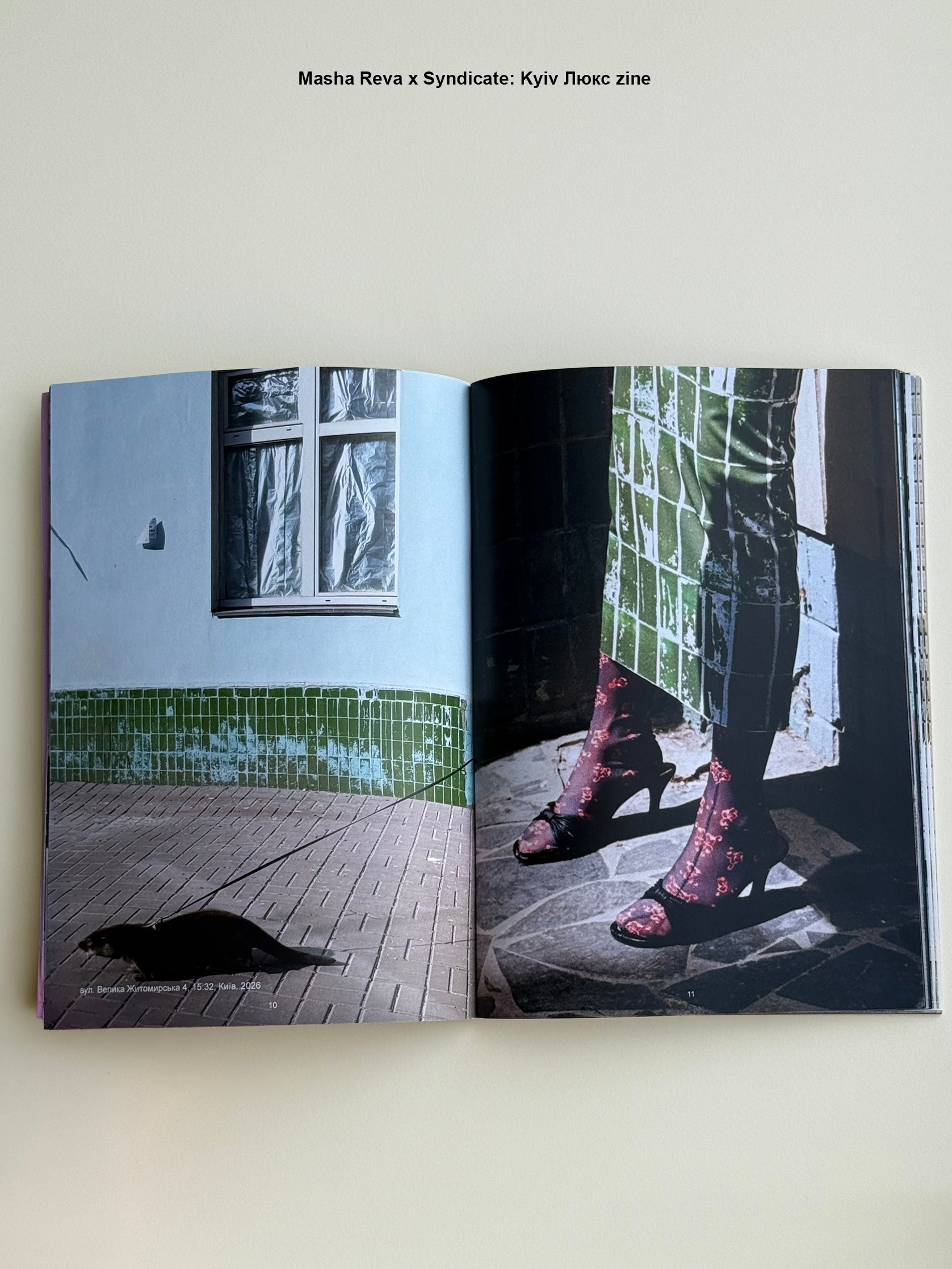 SNDCT x Masha Reva Зін