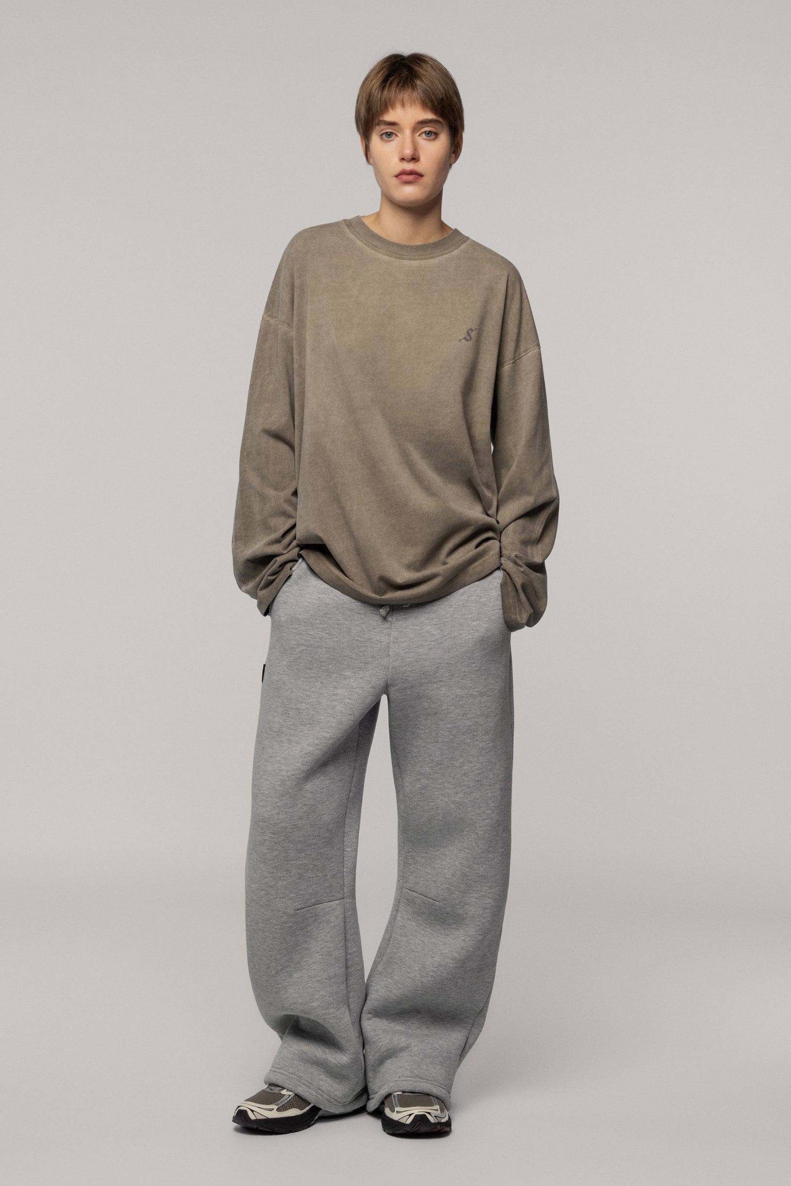 Faded Arrow Longsleeve Cold Beige